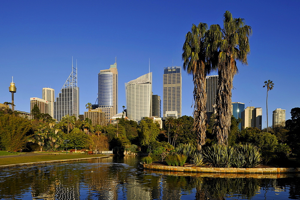 Sydney TV Tower, Skyline Central Business District, Deutsche Bank, Royal Botanical Gardens, The Domain, Sydney, New South Wales, Australia