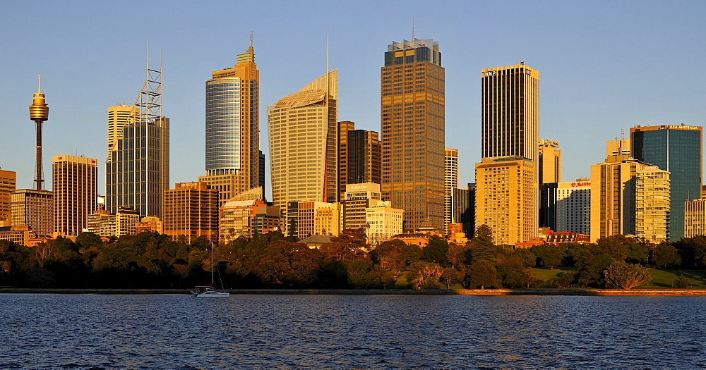 Skyline of Sydney at sunrise, TV Tower, Central Business District, Sydney, New South Wales, Australia