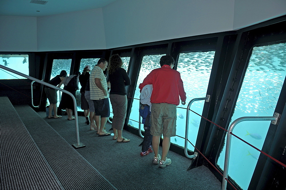 Tourists in an underwater observation chamber on a diving station, Great Barrier Reef, Australia