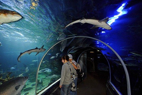 Sea Life and Aquadom, aquariums in the CityQuartier DomAquaree in Berlin Mitte district, Berlin, Germany, Europe