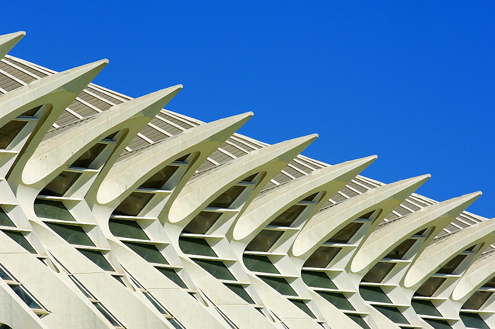 Principe Felipe Museum of Sciences, City of Arts and Sciences by S. Calatrava, Valencia, Comunidad Valenciana, Spain, Europe