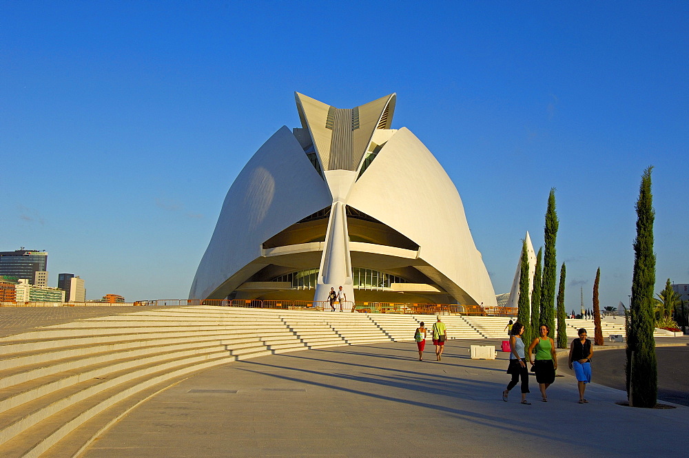 Palace of Arts Reina Sofia, by S. Calatrava, City of Arts and Sciences, Comunidad Valenciana, Valencia, Spain, Europe