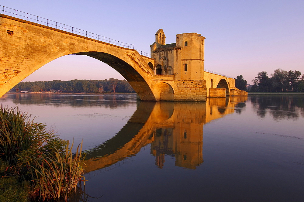 Saint Benezet bridge over Rhone river, Avignon, Vaucluse, Provence-Alpes-Cote d'Azur, Rhone valley, Provence, France, Europe