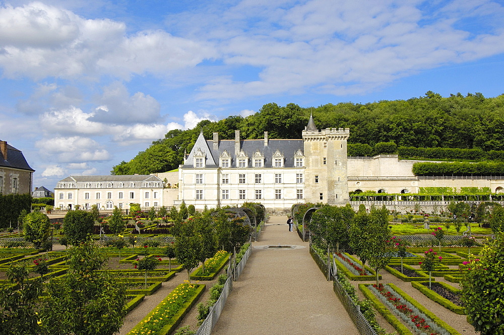 Villandry castle and gardens, Chateau de Villandry, Indre-et-Loire, Touraine, Loire Valley, France, Europe