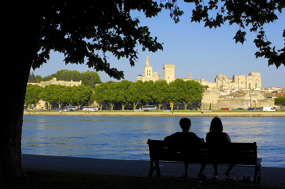 Palais des Papes, Papal Palace, Notre Dame des Doms Cathedral and River Rhone, Avignon, Vaucluse, Provence-Alpes-Cote d'Azur, Rhone valley, Provence, France, Europe