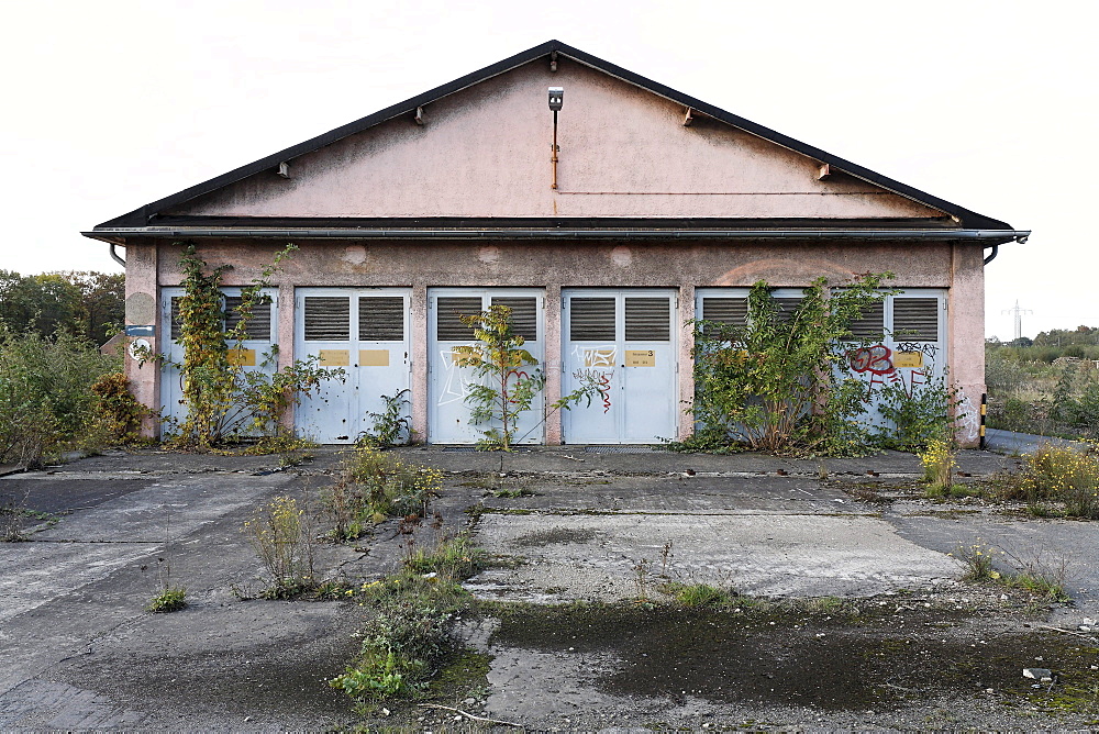 Vacant factory buildings, overgrown terrain, former Ausbesserungswerk repair shop of German Railways, vacant, closed in 2003, Duisburg-Wedau, North Rhine-Westphalia, Germany, Europe