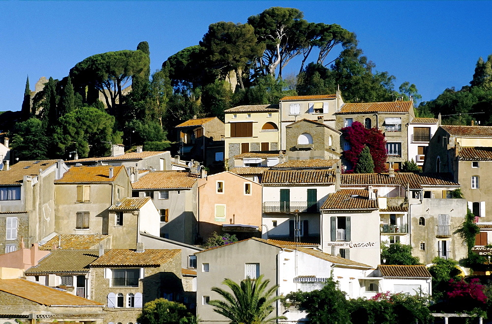 Bormes-les-Mimosas, Provence-Alpes-Cote d'Azur, Var, Southern France, France, Europe