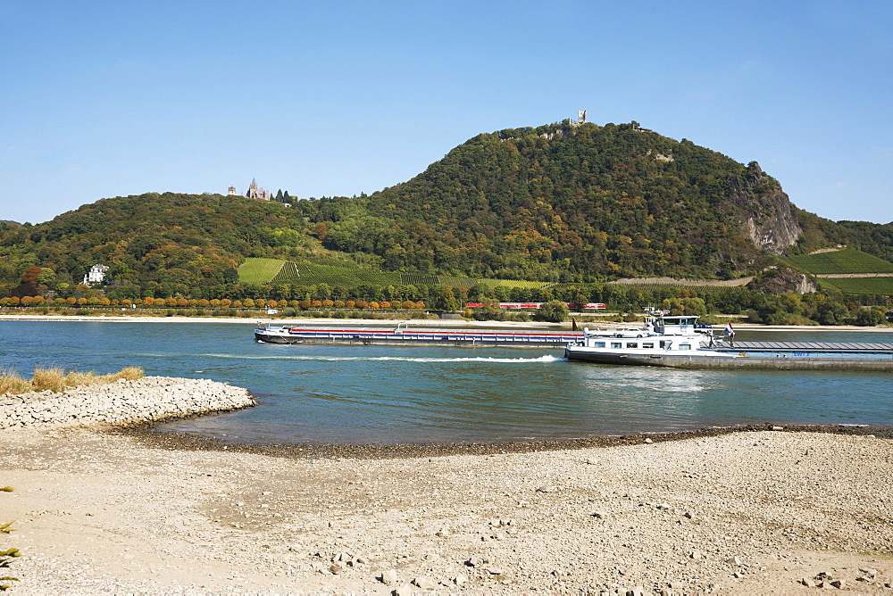 Cargo ships on the Rhine river at low water, river bed, Mt. Drachenfels, between Mehlem and Rolandswerth, North Rhine-Westphalia, Germany, Europe