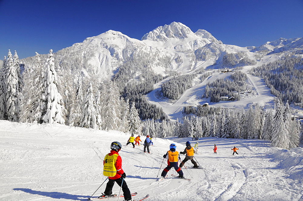 Skiing class, children's group, Nassfeld, Hermagor, Carinthia, Austria, Europe