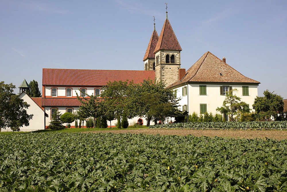 Basilica of St. George, a late Carolingian and Ottonian building in Oberzell, Isle of Reichenau, Lake Constance, Konstanz district, Baden-Wuerttemberg, Germany, Europe