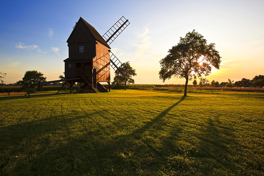 Windmill in the evening sun in Altbelgern on the Elbe river, Brandenburg, Germany, Europe