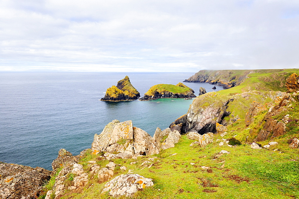 View over Kynance Cove at Lizard Point, Cornwall, England, UK, Europe