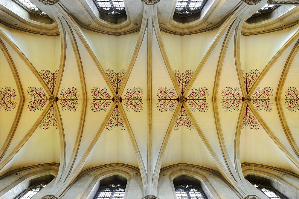 Ribbed vault in St. Andrew's Cathedral, Wells, County Somerset, England, United Kingdom, Europe