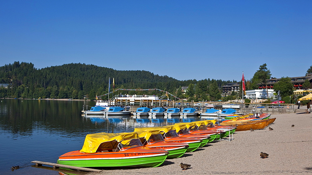 Boat hire, Titisee-Neustadt, Black Forest, Baden-Wuerttemberg, Germany, Europe