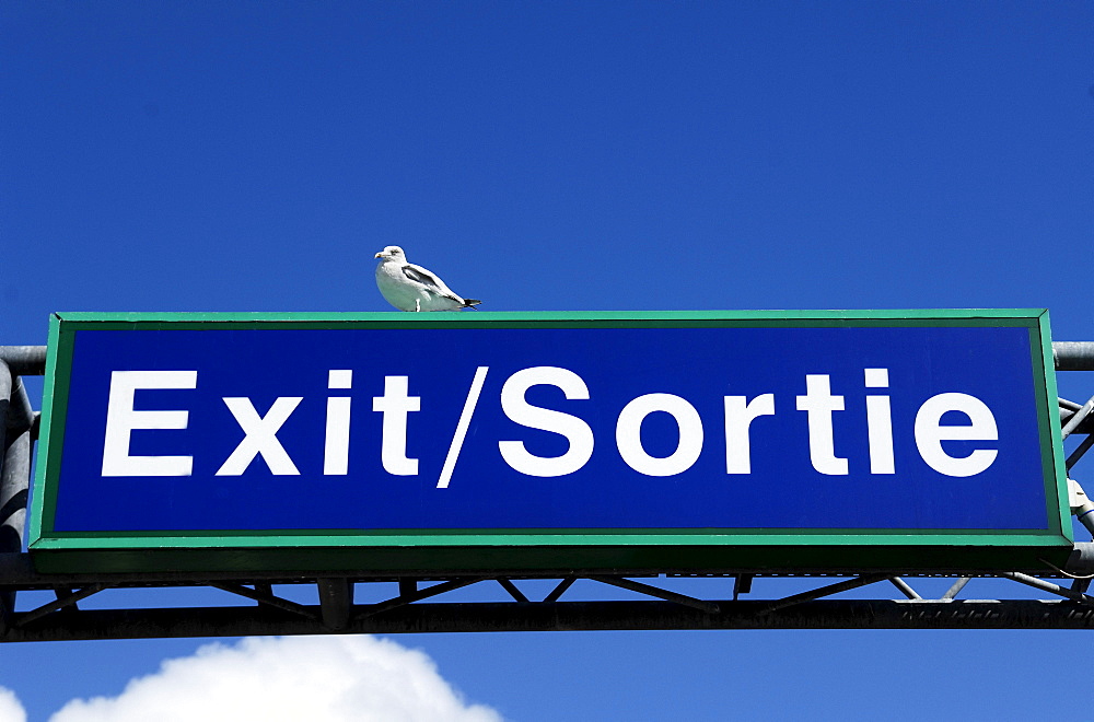 Exit sign with a seagull against a blue sky in the car ferry port of Calais, France, Europe