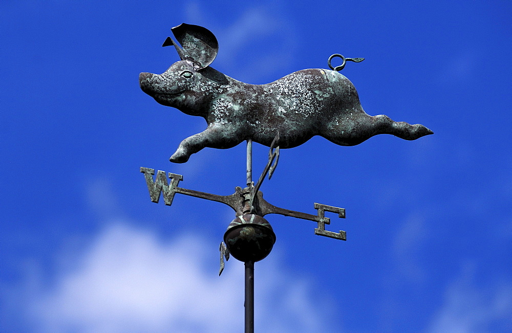 Pig figure on a weather vane against a blue sky, Mavesyn Ridware, Staffordshire, England, United Kingdom, Europe