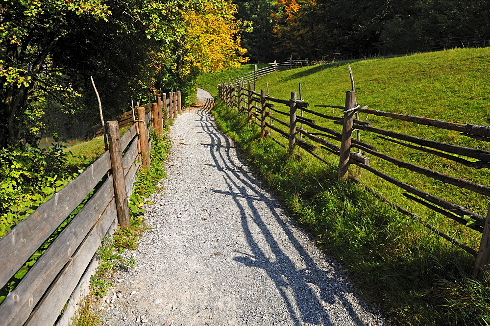 Footpath bordered with wooden fences, outdoor museum, Freilichtmuseum Glentleiten, Glentleiten 4, Grossweil, Upper Bavaria, Germany, Europe