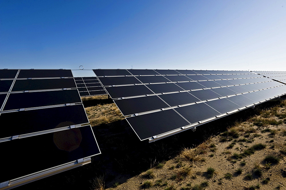 Germany's largest solar farm in Lieberose, Spreewald, Brandenburg, Germany, Europe