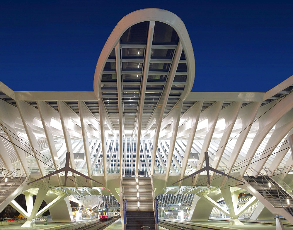 Exterior view, Gare de Liege-Guillemins, architect Santiago Calatrava, Liege, Belgium, Europe