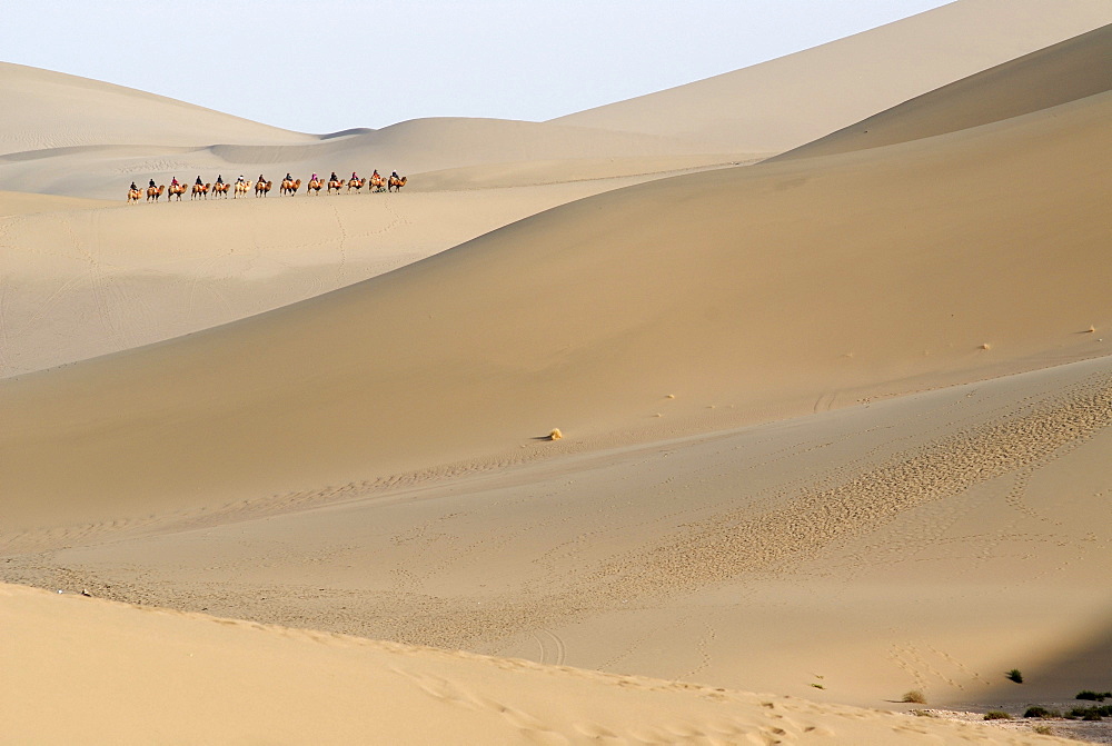 Camel caravan with tourists in front of the sand dunes of the Gobi Desert during the ascent of Mount Mingshan near Dunhuang, Silk Road, Gansu, China, Asia