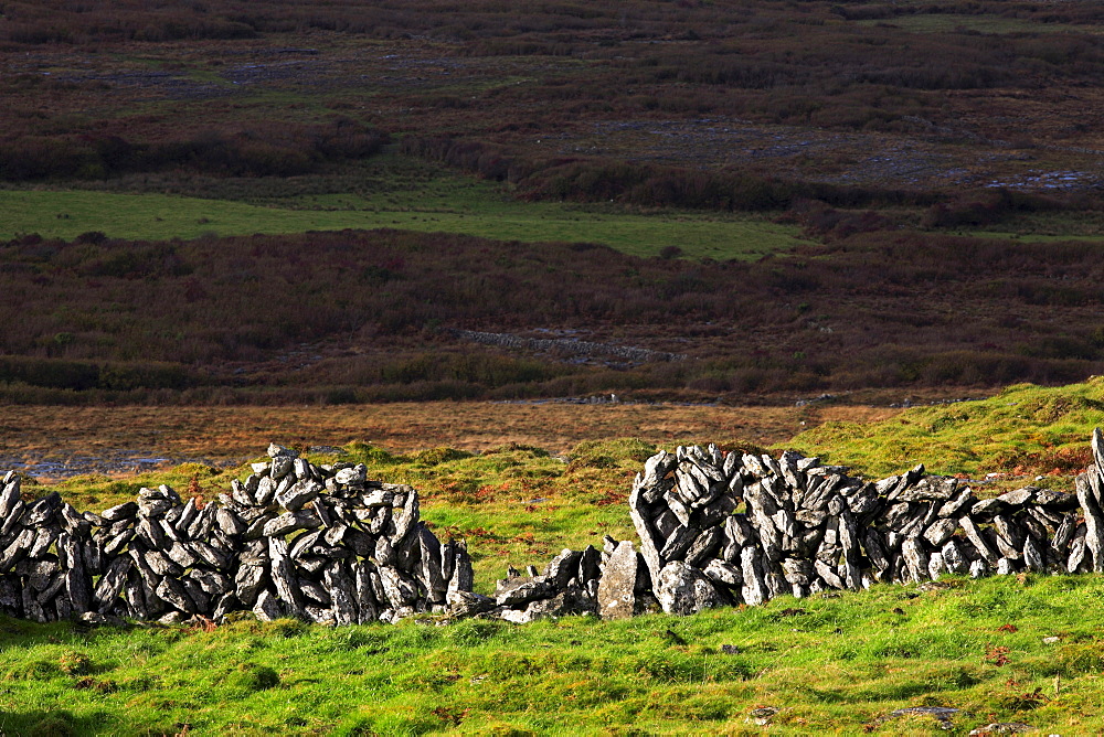 Stone wall fence, Ireland, Irish Republic, Europe