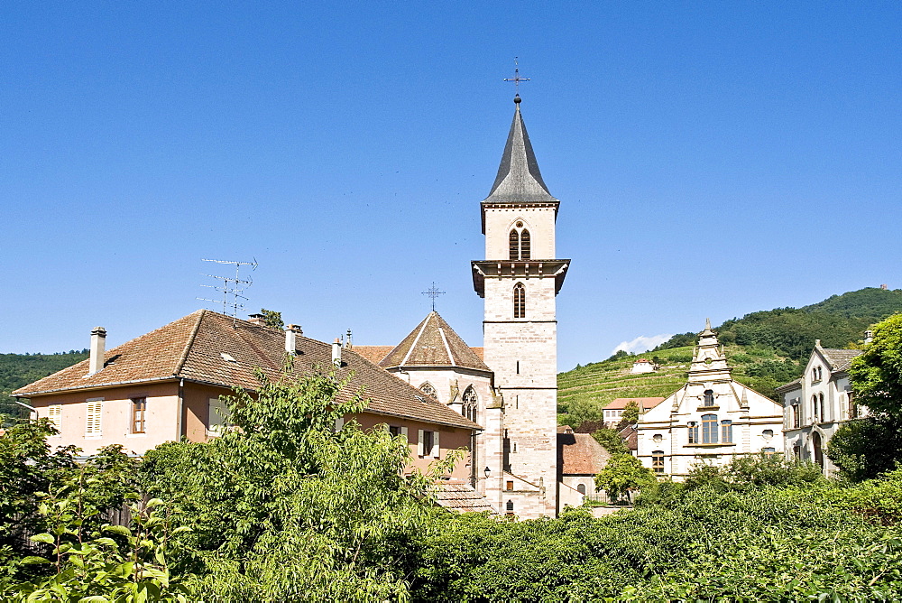 Overlooking the vineyards and the Church of Saint Gregoire in Ribeauville, Alsace, France, Europe