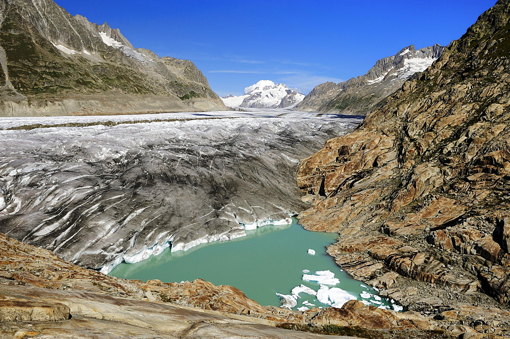 Great Aletschgletscher glacier with glacial lake in the foreground, Goms, Valais, Switzerland, Europe