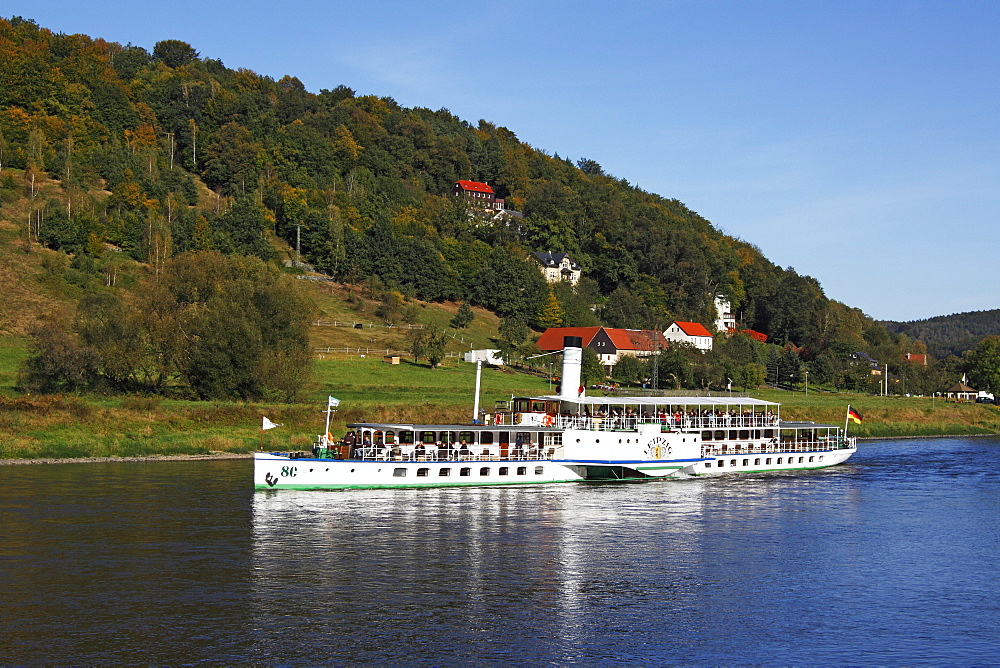 Paddle steamer "Leipzig" of the Saxon steam navigation, on Elbe River near Koenigstein, Elbe Sandstone Mountains, Saxon Switzerland National Park, Saxony, Germany, Europe