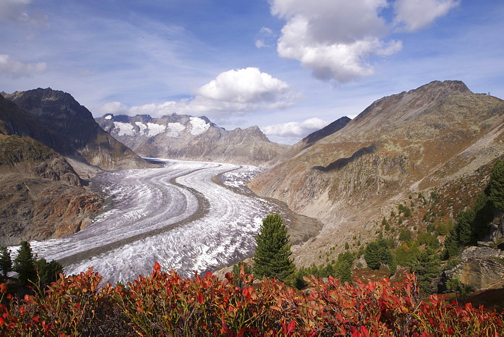 Aletsch Glacier in autumn, Valais, Switzerland, Europe