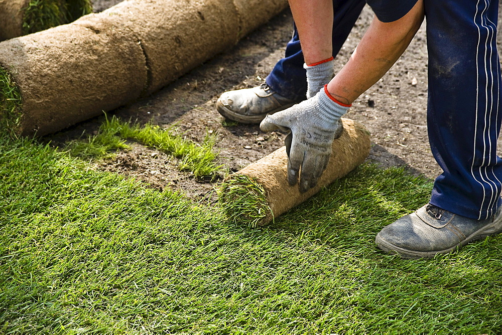 Lawn turf in rolls at the Landesgartenschau Brandenburg Horticultural Show in Oranienburg, Brandenburg, Germany, Europe