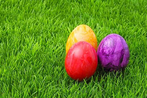 Colourful Easter eggs on grass