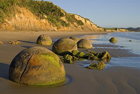 Moeraki Boulders in soft morning light, New Zealand