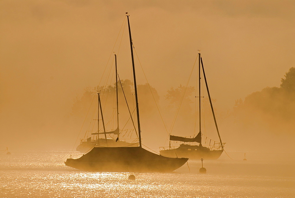 Sailing boats and fog at the southern end of Ammersee lake in Diessen, Bavaria, Germany, Europe