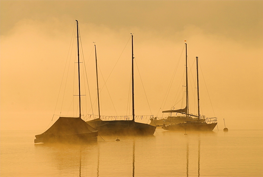 Morning fog above Lake Starnberg and silhouettes of boats at Seeshaupt, Bavaria, Germany, Europe