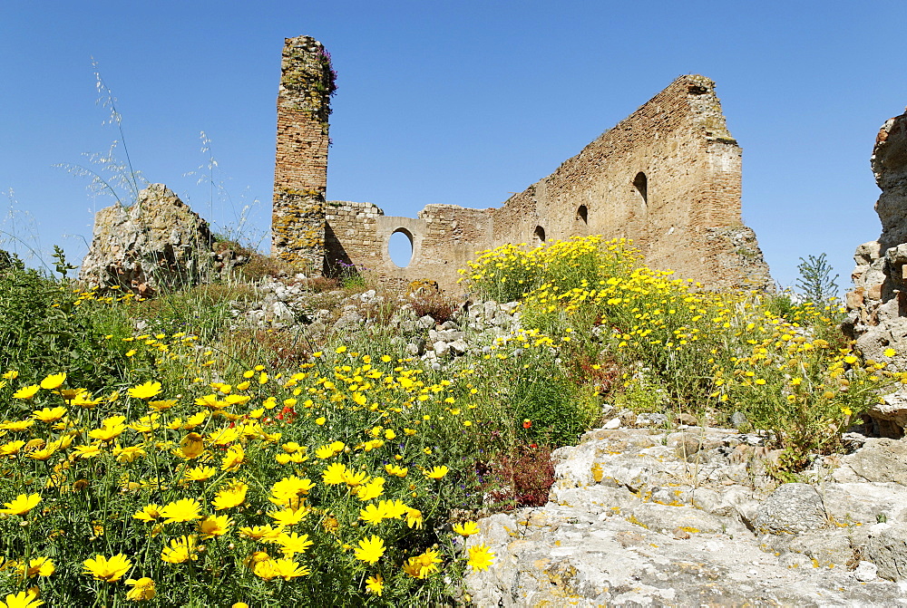 Former convent church Rocceletta, Santa Maria della Rocella, Parco Archeologico di Scolacium, Calabria, Italy, Europe