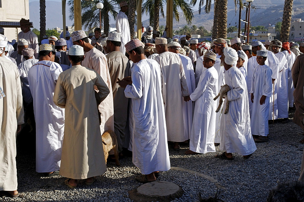 Omani men in traditional dress, livestock or animal market at Nizwa, Hajar al Gharbi Mountains, Al Dakhliyah region, Sultanate of Oman, Arabia, Middle East