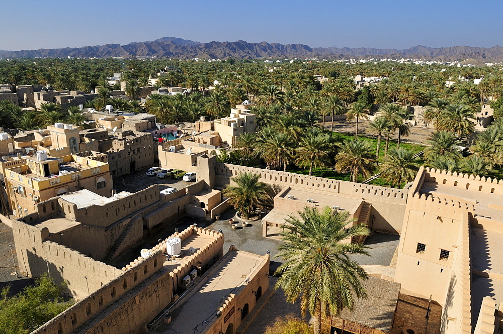 View from Nizwa fort or castle over the oasis, Hajar al Gharbi Mountains, Dhakiliya Region, Sultanate of Oman, Arabia, Middle East