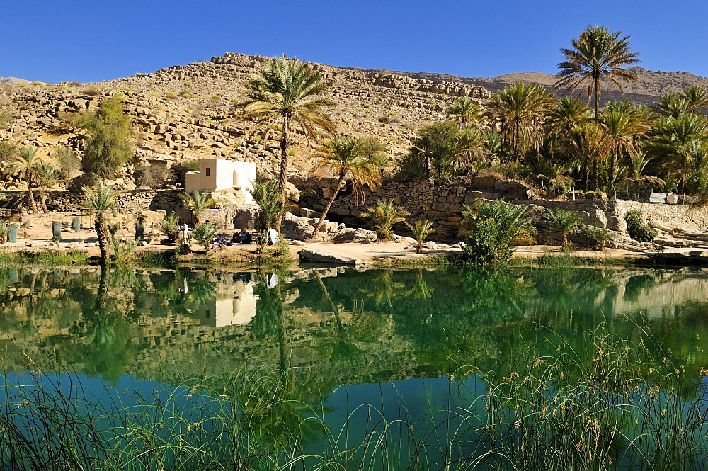 Water pool in a rocky canyon, Wadi Bani Khalid, Sharqiya Region, Sultanate of Oman, Arabia, Middle East