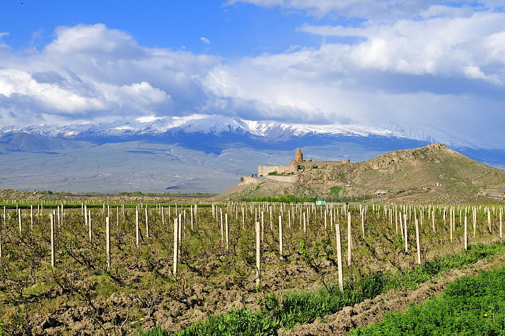 Historic Armenian Orthodox monastery of Khor Virap with Mount Ararat, Armenia, Asia