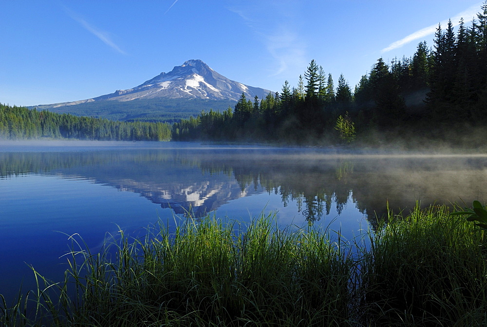 Trillium Lake with Mount Hood volcano, Cascade Range, Oregon, USA