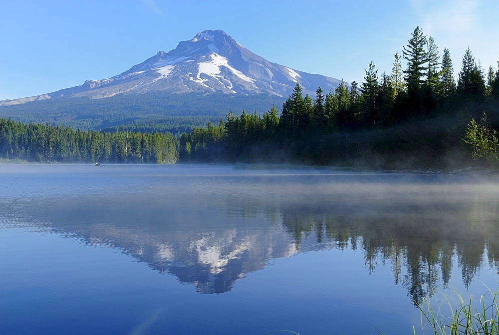 Trillium Lake with Mount Hood volcano, Cascade Range, Oregon, USA