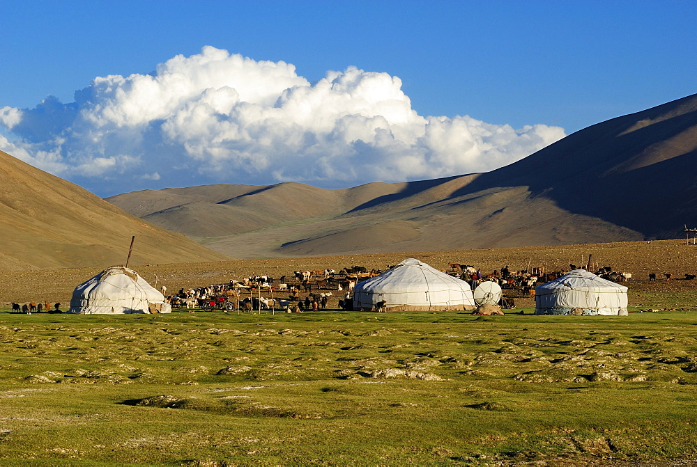 Nomad yurts in the Mongolian steppe, Aimak Bayan Ulgi, Altai Mountains, Mongolia, Asia