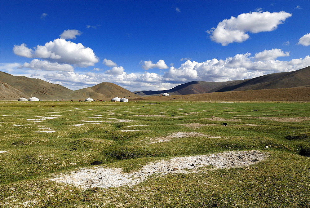 Nomad yurts in the Mongolian steppe, Aimak Bayan Ulgi, Altai Mountains, Mongolia, Asia