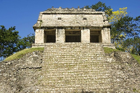 Palenque, UNESCO World Heritage Site, Templo del Conde, Temple of the Count, Yucatan, Mexico