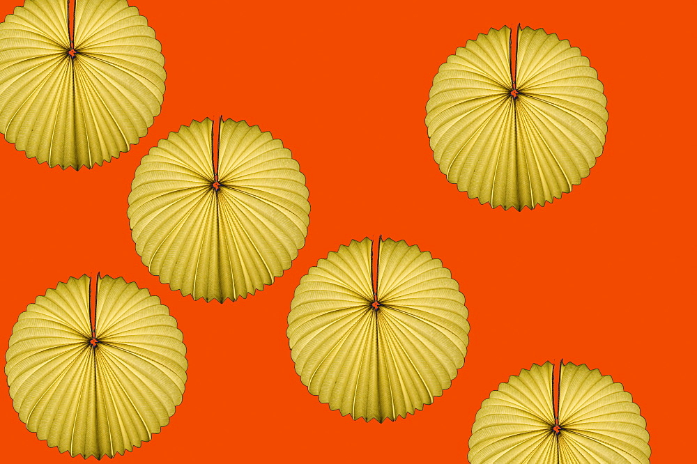 Yellow Chinese lantern against red
