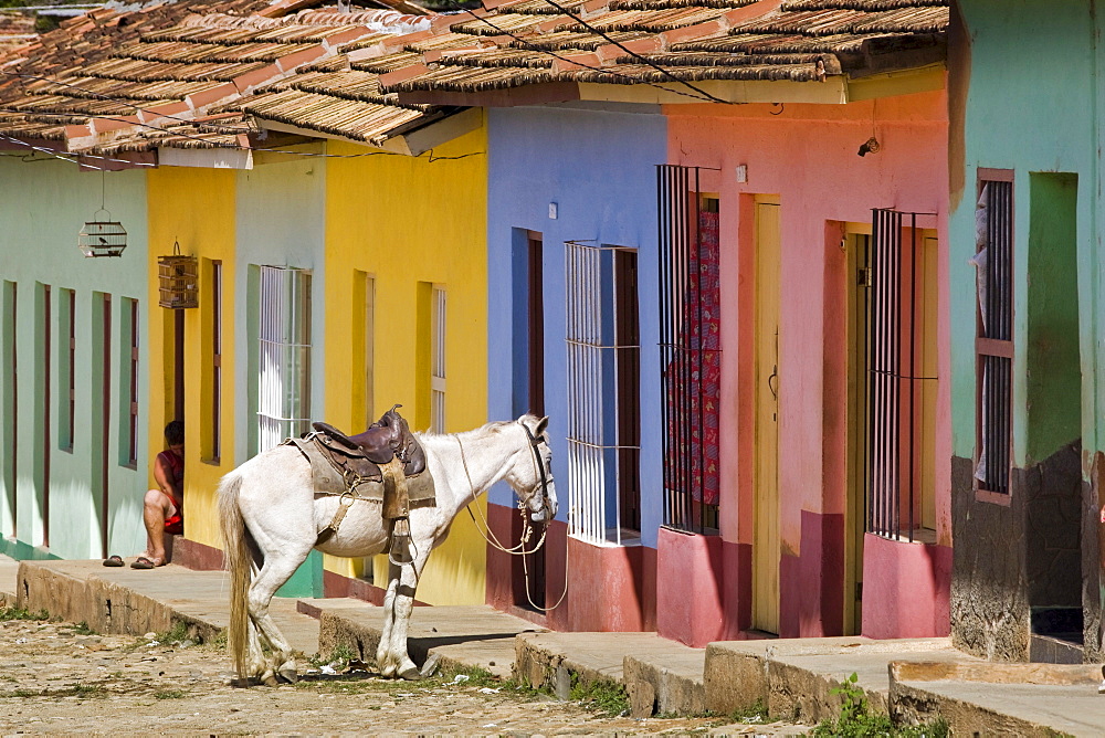 Horse in front of colorful houses, Trinidad, Sancti Spiritus Province, Cuba