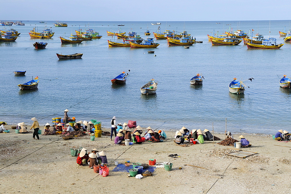 Women in the fish market, in the back colorful wooden fishing boats, beach of Mui Ne, Vietnam, Asia