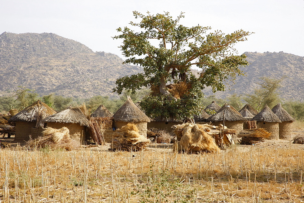 Village with round huts near Mora, Cameroon, Africa