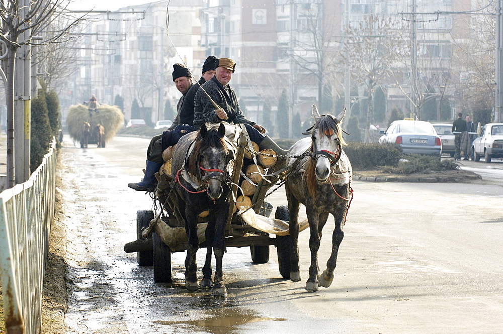 Horse-drawn vehicle, Romania, Eastern Europe