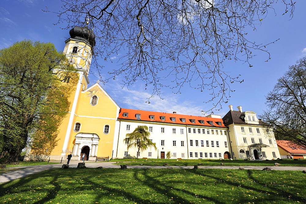 Church of Saint Martin, former collegiate church of the Augustinian canons of Bernried on Lake Starnberg, Upper Bavaria, Bavaria, Germany, Europe